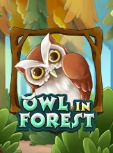 Owl In Forest